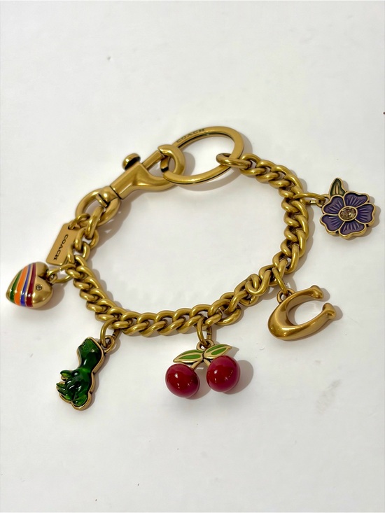 Coach Accessories - Coach Gold-Tone Motif Chain Enamel Bag Charm